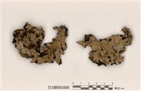 藏品(深杯牛皮葉衣)的圖片